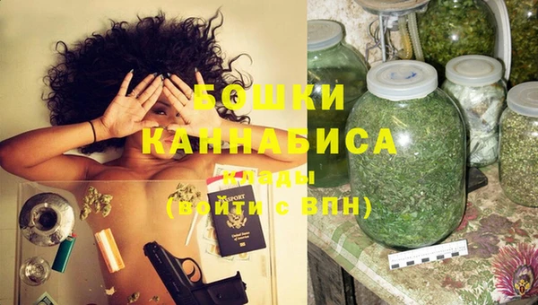 амф Пестово