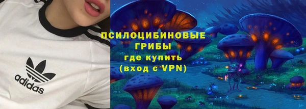амф Белокуриха