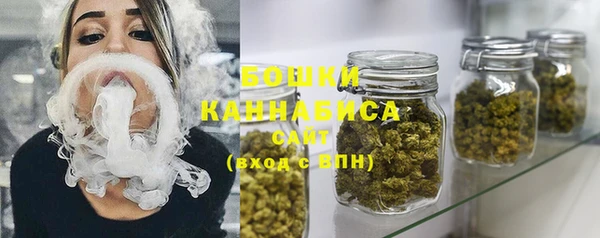 амф Пестово